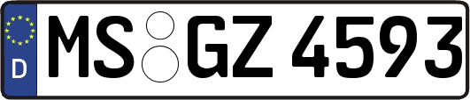 MS-GZ4593