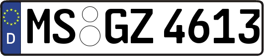 MS-GZ4613