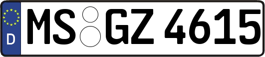 MS-GZ4615