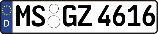 MS-GZ4616