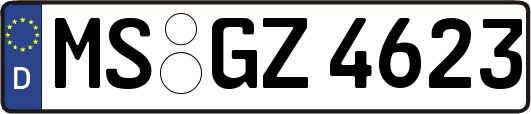 MS-GZ4623
