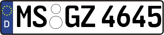 MS-GZ4645