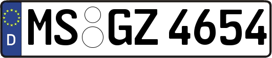 MS-GZ4654