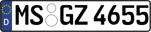 MS-GZ4655