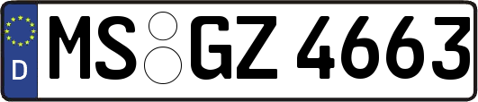 MS-GZ4663