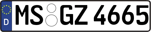 MS-GZ4665