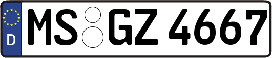 MS-GZ4667