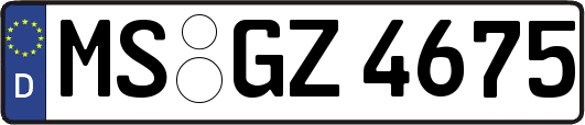 MS-GZ4675