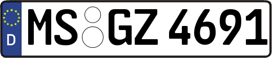 MS-GZ4691
