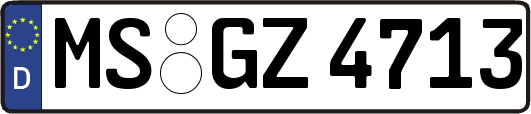MS-GZ4713