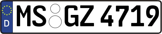 MS-GZ4719