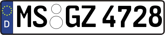 MS-GZ4728
