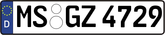 MS-GZ4729