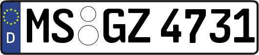 MS-GZ4731