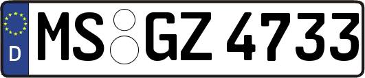 MS-GZ4733