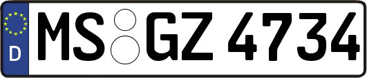 MS-GZ4734