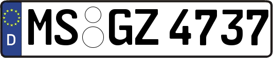 MS-GZ4737