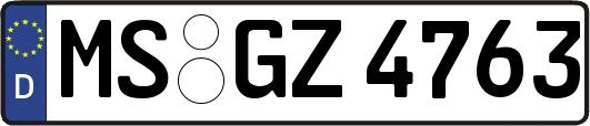 MS-GZ4763