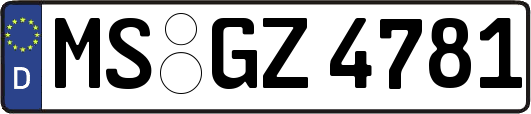 MS-GZ4781