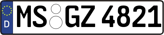 MS-GZ4821