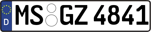 MS-GZ4841