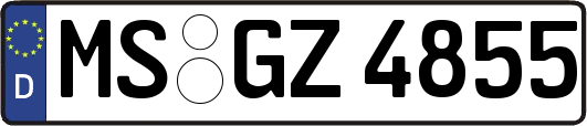MS-GZ4855