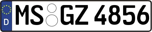 MS-GZ4856