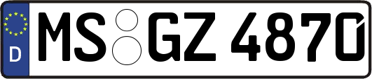 MS-GZ4870