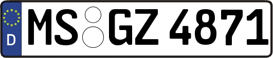 MS-GZ4871