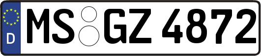 MS-GZ4872