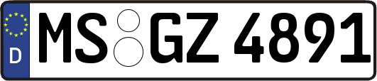 MS-GZ4891