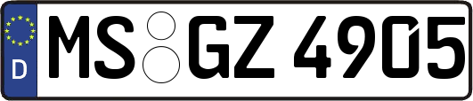 MS-GZ4905