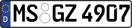 MS-GZ4907
