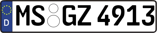 MS-GZ4913