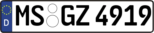 MS-GZ4919