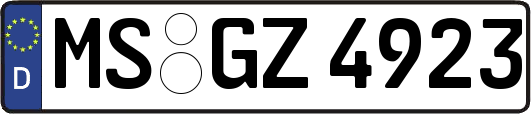 MS-GZ4923