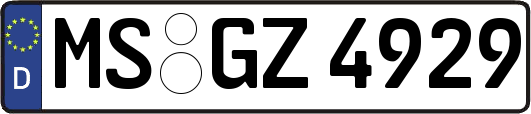 MS-GZ4929