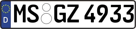 MS-GZ4933