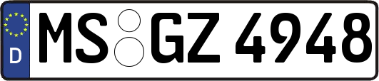 MS-GZ4948