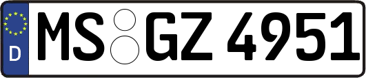MS-GZ4951