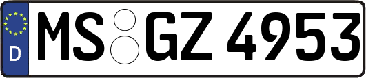 MS-GZ4953