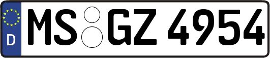 MS-GZ4954