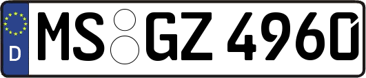 MS-GZ4960