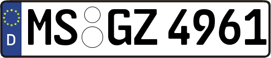 MS-GZ4961
