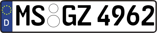 MS-GZ4962
