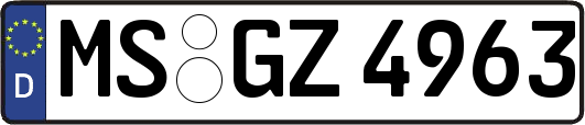 MS-GZ4963