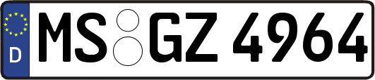 MS-GZ4964