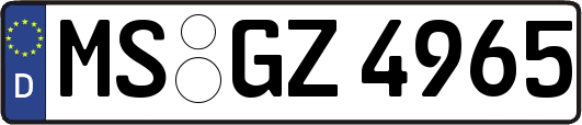MS-GZ4965