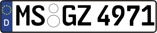 MS-GZ4971