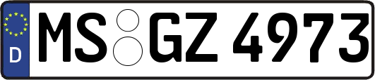 MS-GZ4973
